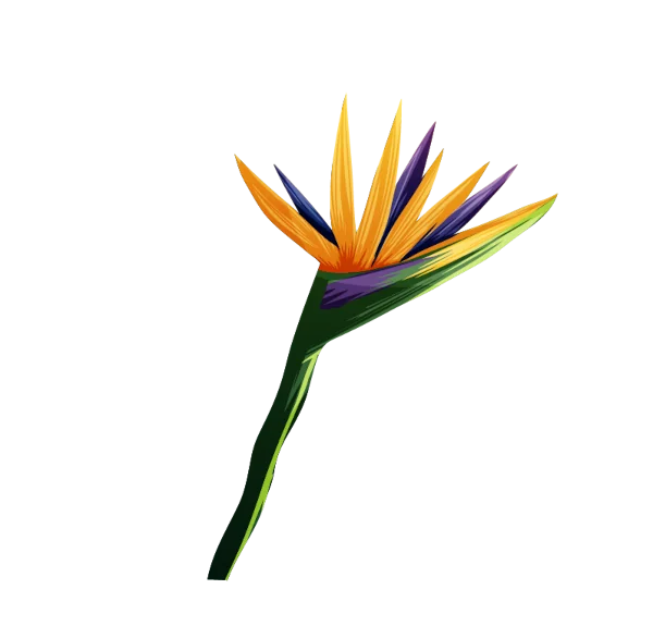 Gekleurde bloem